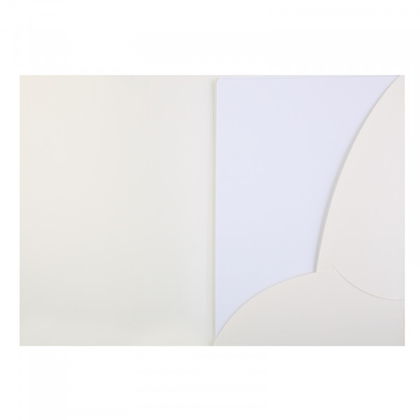 Бумага для гуаши "Люкс" 15л. А4 в папке