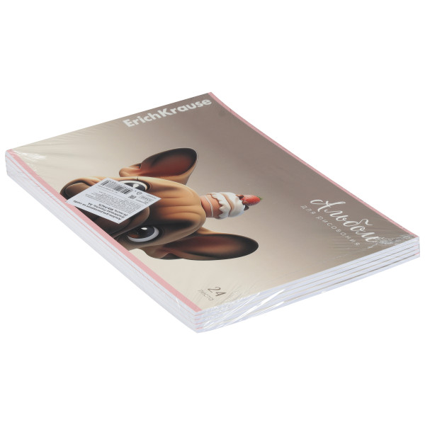 Альбом д/рисования 24л Frenchie, скоба