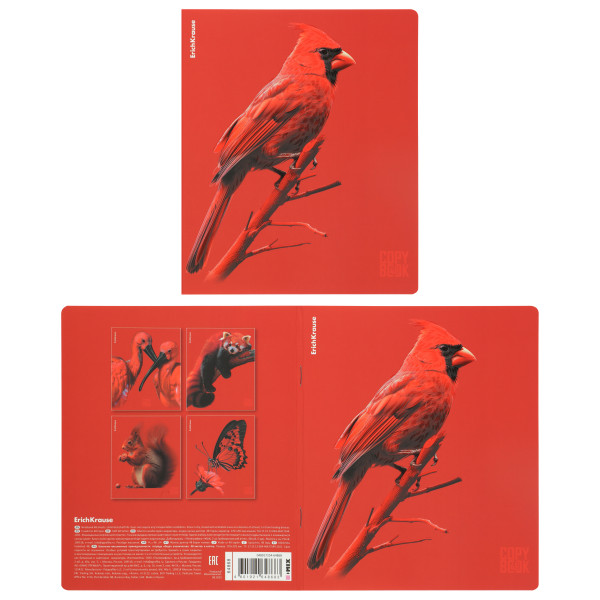 Тетрадь 48л. кл. Scarlet, ламин. soft-touch+выборочный Уф-лак Mix-pack