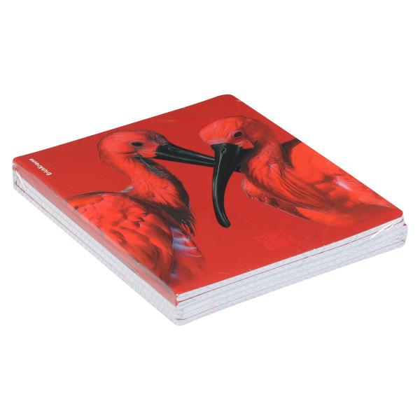 Тетрадь 48л. кл. Scarlet, ламин. soft-touch+выборочный Уф-лак Mix-pack