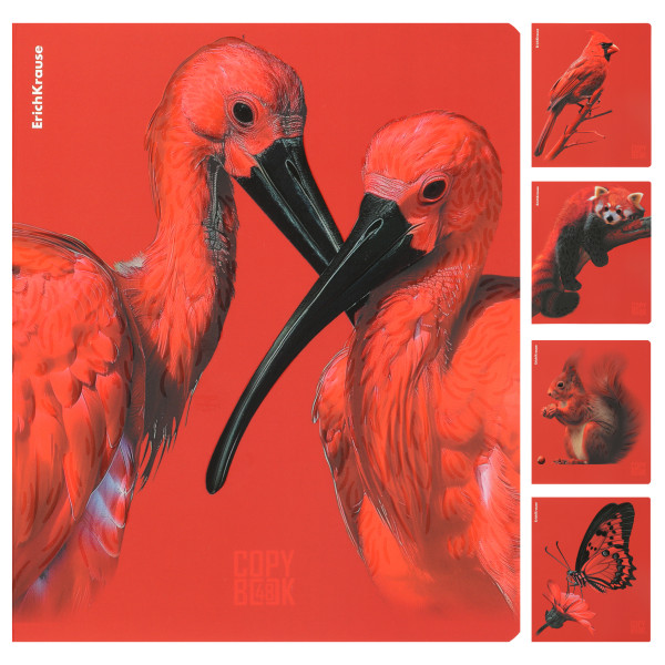 Тетрадь 48л. кл. Scarlet, ламин. soft-touch+выборочный Уф-лак Mix-pack