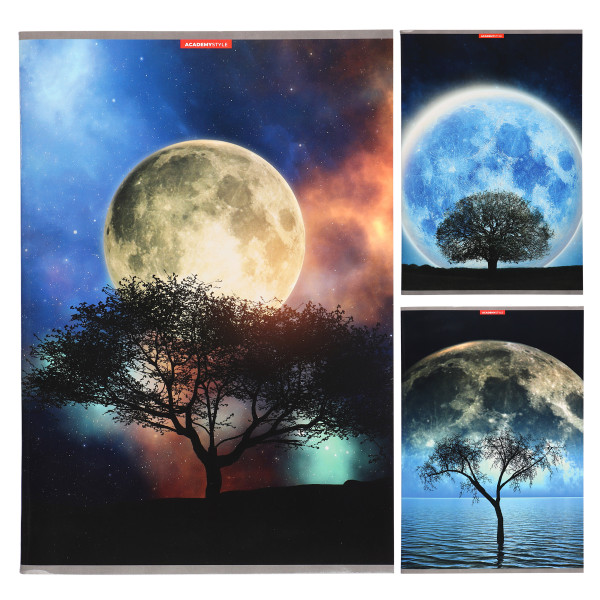 Тетрадь 80л скр кл. А4  Фантастическая луна