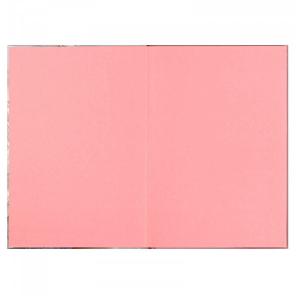 Дневничок для девочек А5 48л. Блондинка с котом