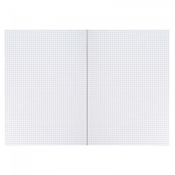 Тетрадь 96л кл. А4 "Нет истории без риска"