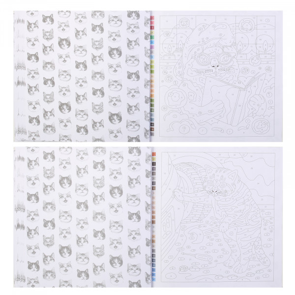 Раскраска. Серия "Картины по номерам" арт. 71479 КОТЫ-МЕМЫ /