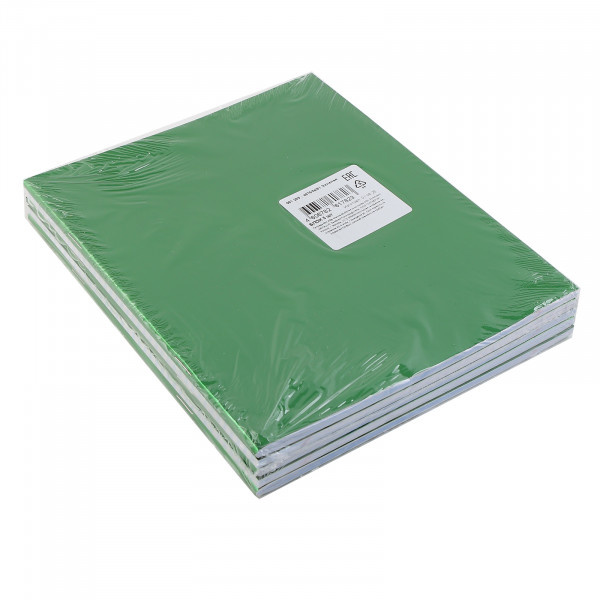 Тетрадь 48л HATBER 48Т5бвВ1 METALLIC Зеленая бумвинил