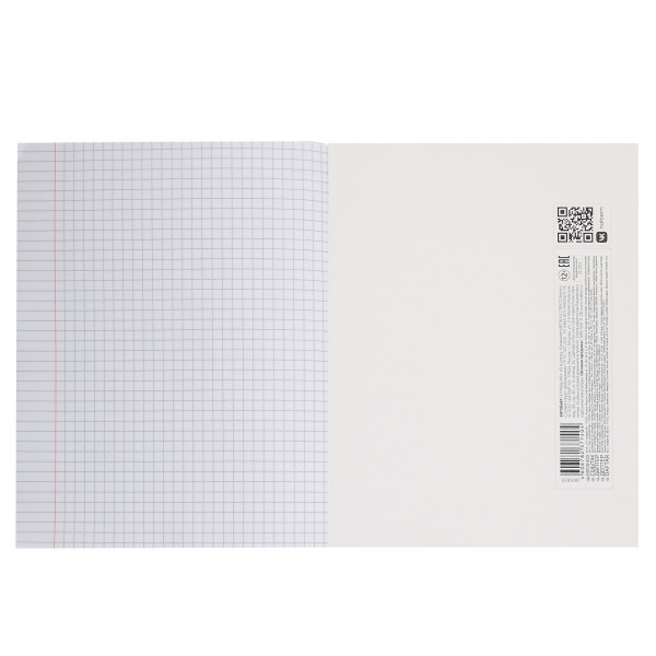 Тетрадь 48л HATBER 48Т5бвВ1 METALLIC CROCO бумвинил золото