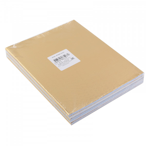 Тетрадь 48л HATBER 48Т5бвВ1 METALLIC CROCO бумвинил золото