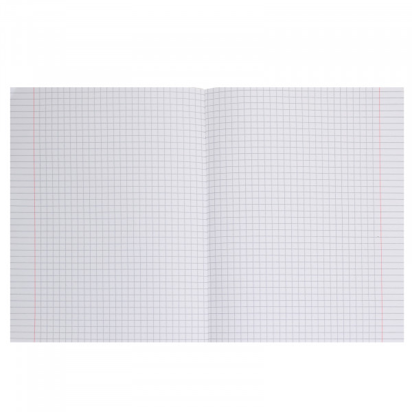 Тетрадь 48л. кл. бумвинил METALLIC Мята