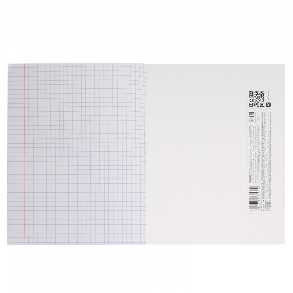 Тетрадь 48л. кл. бумвинил METALLIC Мята