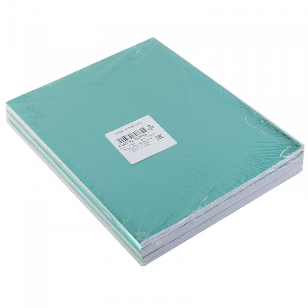 Тетрадь 48л. кл. бумвинил METALLIC Мята