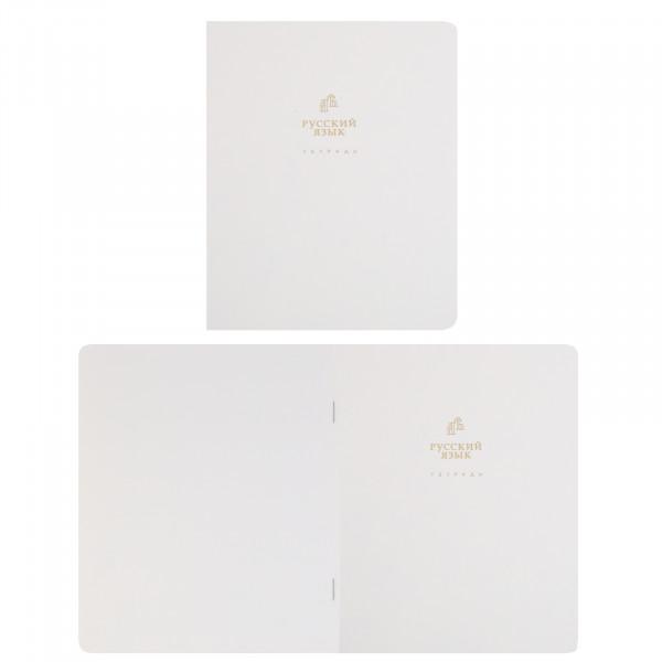 Комплект предмет тетрадей 48л 12шт HATBER 48Т5лофлтВd Белое золото
