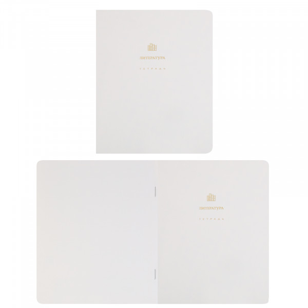 Комплект предмет тетрадей 48л 12шт HATBER 48Т5лофлтВd Белое золото