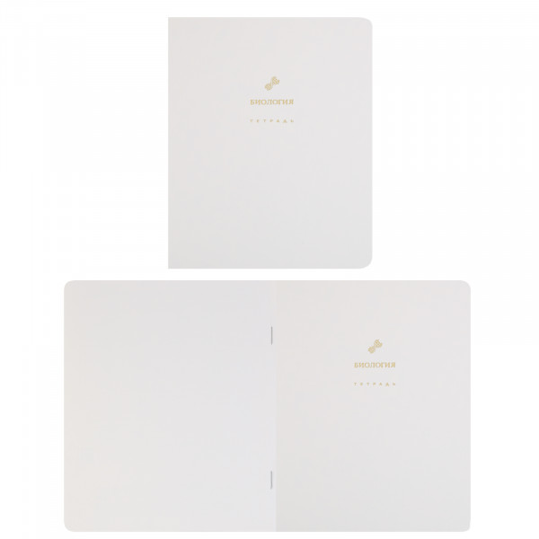 Комплект предмет тетрадей 48л 12шт HATBER 48Т5лофлтВd Белое золото
