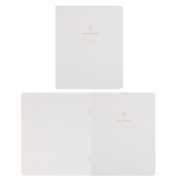 Комплект предмет тетрадей 48л 12шт HATBER 48Т5лофлтВd Белое золото