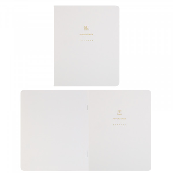 Комплект предмет тетрадей 48л 12шт HATBER 48Т5лофлтВd Белое золото