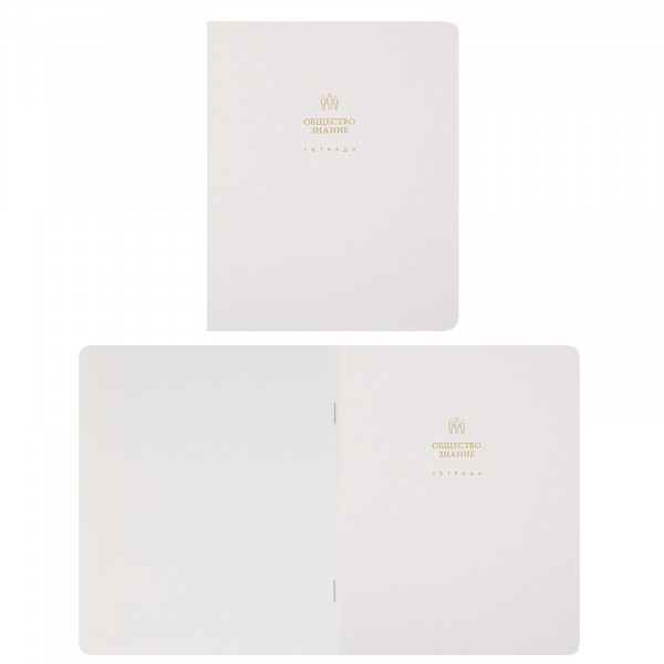 Комплект предмет тетрадей 48л 12шт HATBER 48Т5лофлтВd Белое золото