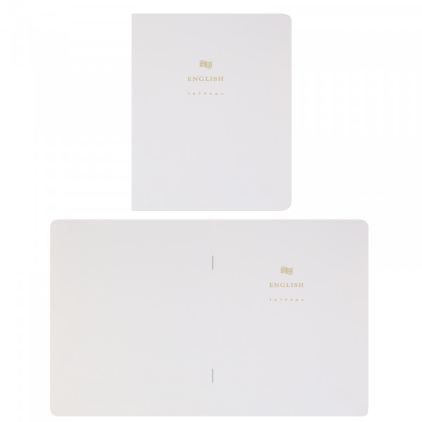 Комплект предмет тетрадей 48л 12шт HATBER 48Т5лофлтВd Белое золото