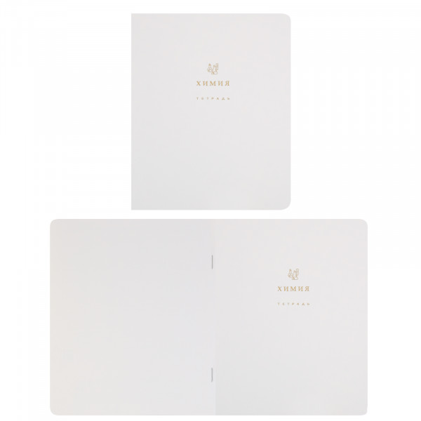 Комплект предмет тетрадей 48л 12шт HATBER 48Т5лофлтВd Белое золото