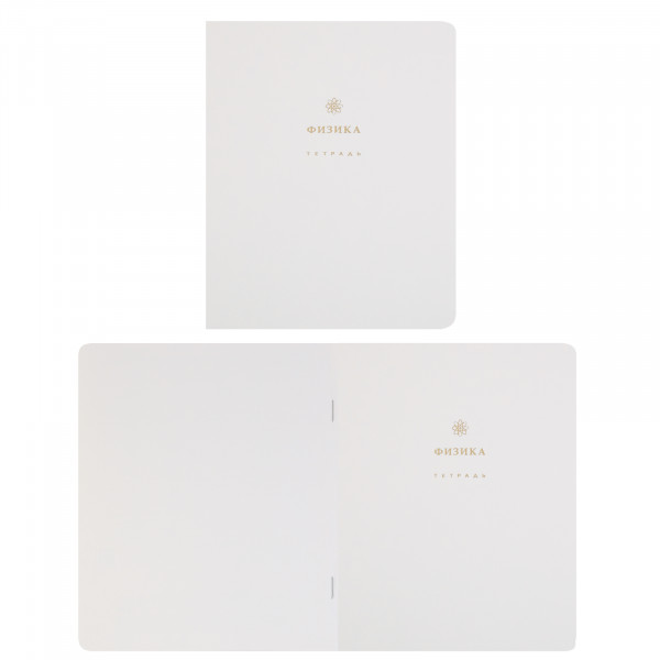 Комплект предмет тетрадей 48л 12шт HATBER 48Т5лофлтВd Белое золото