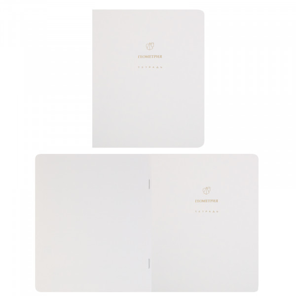 Комплект предмет тетрадей 48л 12шт HATBER 48Т5лофлтВd Белое золото