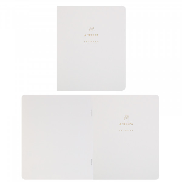Комплект предмет тетрадей 48л 12шт HATBER 48Т5лофлтВd Белое золото