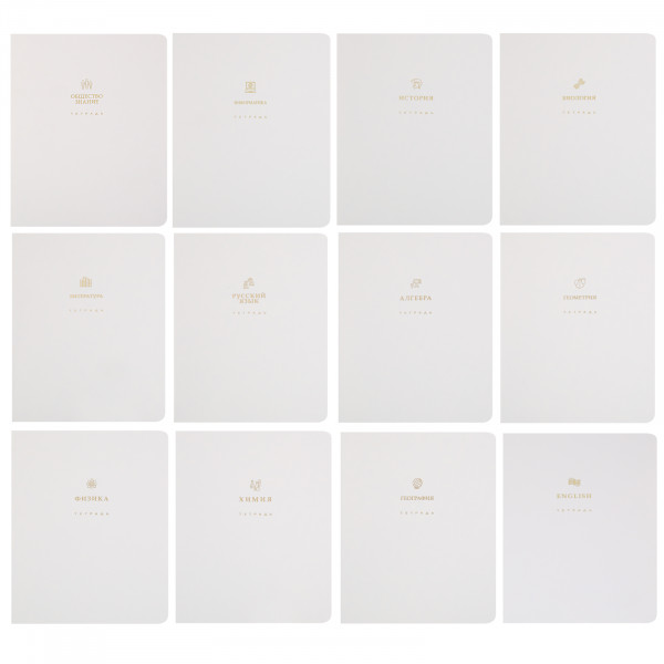 Комплект предмет тетрадей 48л 12шт HATBER 48Т5лофлтВd Белое золото