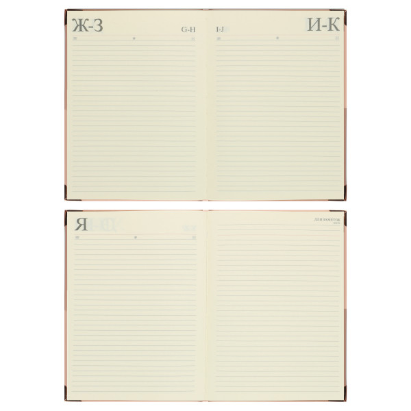 Ежедневник А5 н/д тв обл 168л FIORENZO Shine уголки клетка розовый Ежедневник А5 н/д тв обл 168л FIORENZO Shine уголки клетка розовый