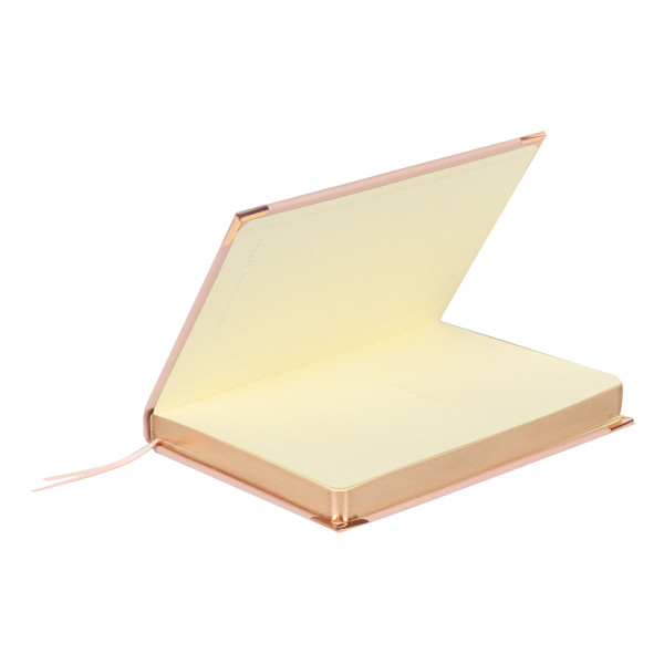 Ежедневник А5 н/д тв обл 168л FIORENZO Shine уголки клетка розовый Ежедневник А5 н/д тв обл 168л FIORENZO Shine уголки клетка розовый