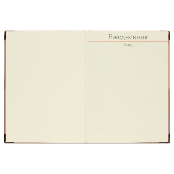 Ежедневник А5 н/д тв обл 168л FIORENZO Shine уголки клетка розовый Ежедневник А5 н/д тв обл 168л FIORENZO Shine уголки клетка розовый