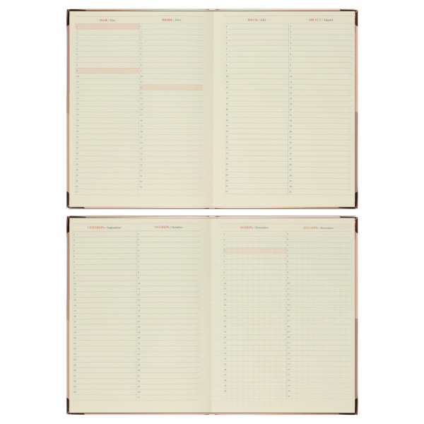 Ежедневник А5 н/д тв обл 168л FIORENZO Shine уголки клетка розовый Ежедневник А5 н/д тв обл 168л FIORENZO Shine уголки клетка розовый