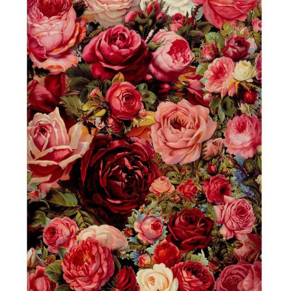 Картина по номерам 40*50 Кокос Розы холст на подрамнике
