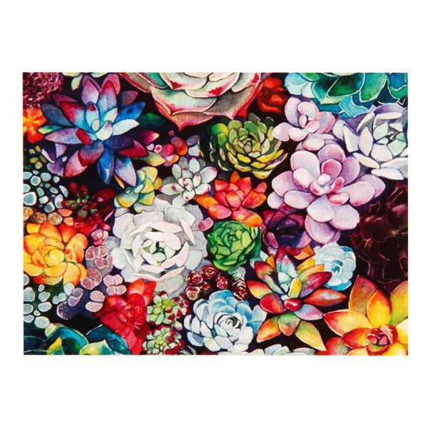 Картина по номерам 40*50 Кокос Суккуленты холст на подрамнике