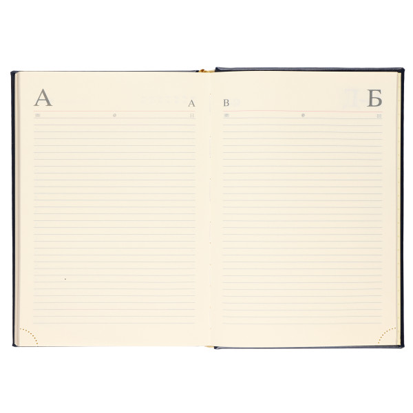 Ежедневник А5 н/д тв.обл. 168л. FLORENZO Символика синий