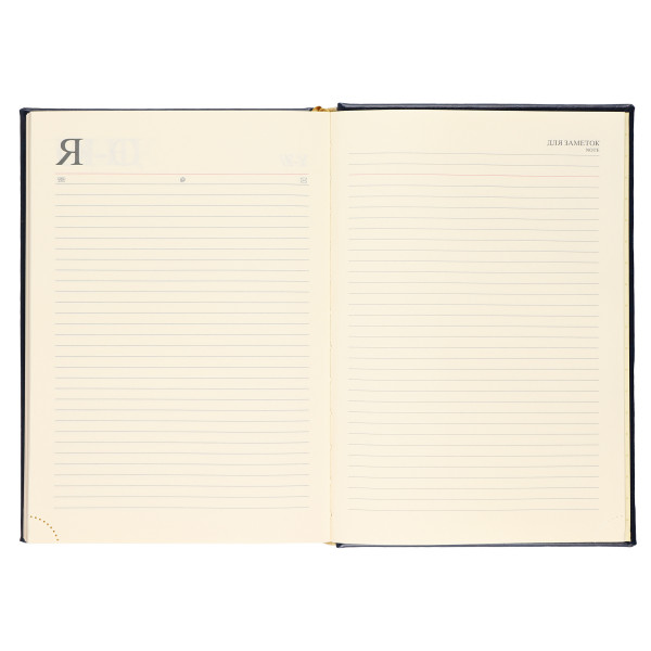 Ежедневник А5 н/д тв.обл. 168л. FLORENZO Символика синий