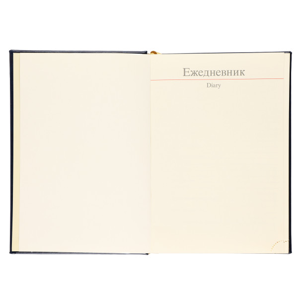 Ежедневник А5 н/д тв.обл. 168л. FLORENZO Символика синий