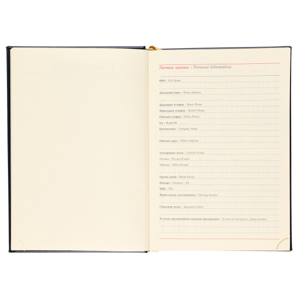 Ежедневник А5 н/д тв.обл. 168л. FLORENZO Символика синий