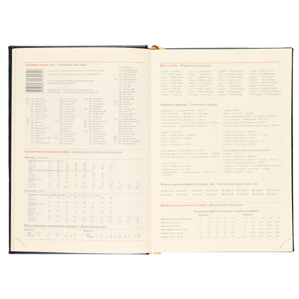 Ежедневник А5 н/д тв.обл. 168л. FLORENZO Символика синий