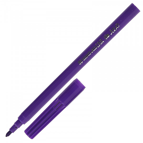 Фломастеры 12 цв смываемые " ШколаСад"