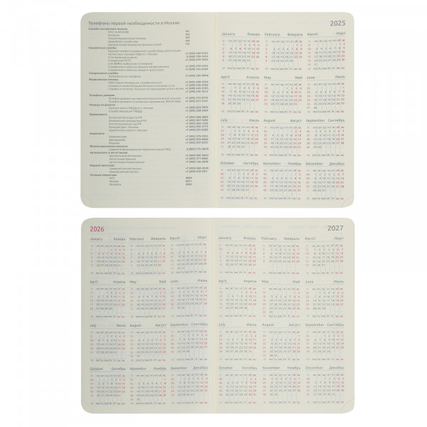 Ежедневник датир. 2026 "deVENTE. Emblem" А5 336стр, тв. обл. ис. кожа черный