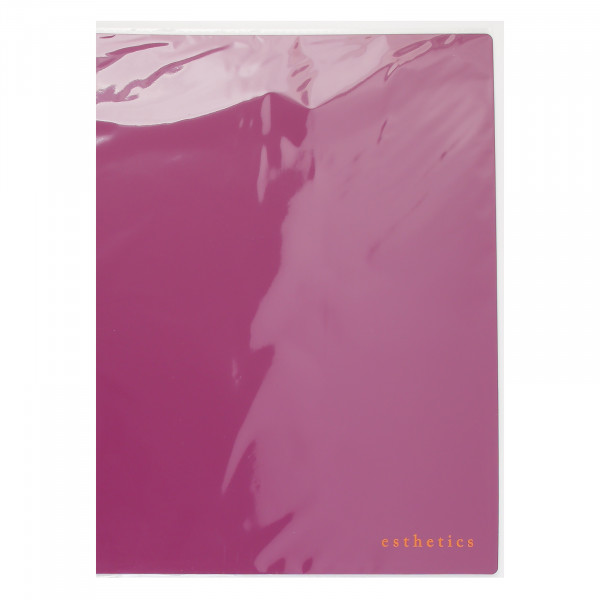 Папка с 20 вкладышами А4 "deVENTE. Esthetics" 700мкм. фактура "soft-touch" вн. карман, бургунди