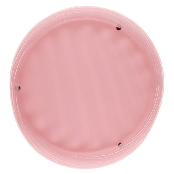 Подставка-стакан настол. д/канц принадл.металлическая  Macaroons розовый