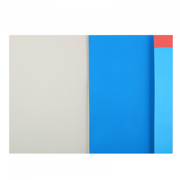 Набор цветного картона А4 10л. 10цв. Панда мелованный в папке (золото, серебро)