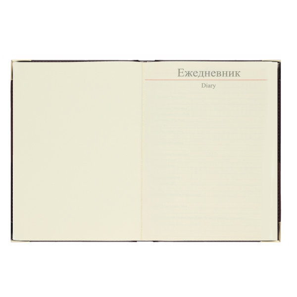 Ежедневник А5 датир. 2026 FIORENZO Classic 176л. черный Ежедневник А5 датир. 2026 FIORENZO Classic 176л. черный