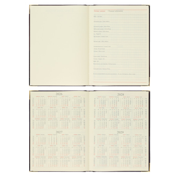 Ежедневник А5 датир. 2026 FIORENZO Classic 176л. черный Ежедневник А5 датир. 2026 FIORENZO Classic 176л. черный