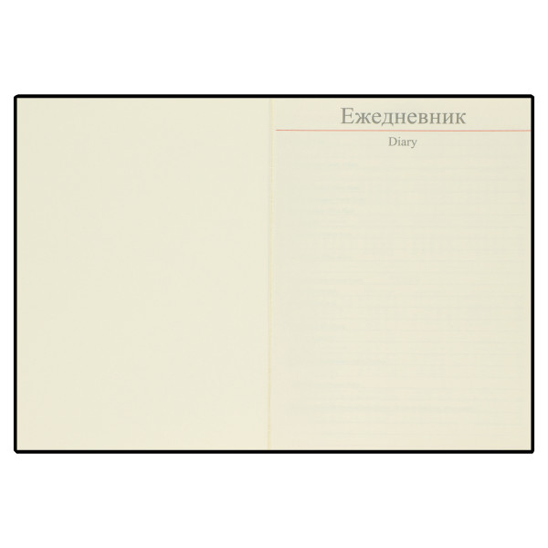 Ежедневник 2026 FIORENZO A5.176 л. Basic черный Ежедневник 2026 FIORENZO A5.176 л. Basic черный