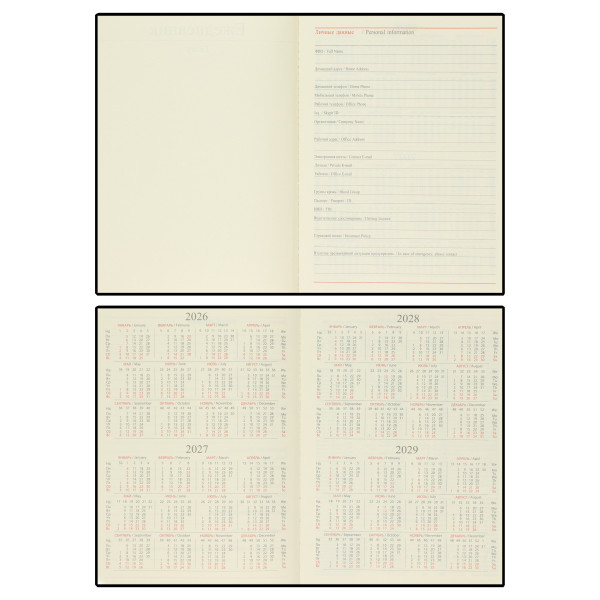 Ежедневник 2026 FIORENZO A5.176 л. Basic черный Ежедневник 2026 FIORENZO A5.176 л. Basic черный