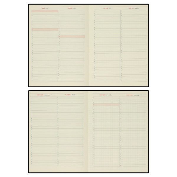 Ежедневник 2026 FIORENZO A5.176 л. Basic черный Ежедневник 2026 FIORENZO A5.176 л. Basic черный