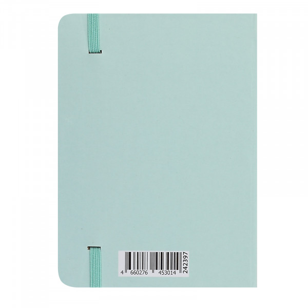 Записная книга А6 64л.лин. Пушистик, на резинке