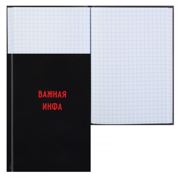 Записная книжка А6 64л.кл. Важная инфа, тв.обл, склейка